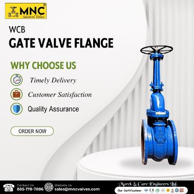 Top Gate Valve Manufacturers in Ahmedabad, India | MNC Valves